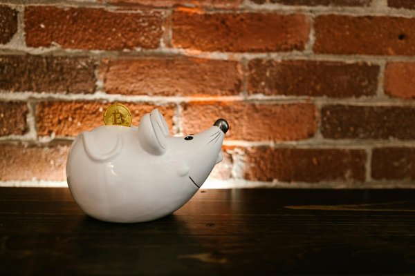 Comprendre l'insolvabilité : Définition et stratégies pour l'éviter efficacement